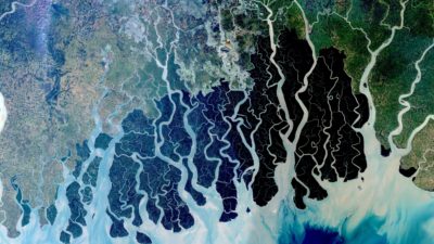 曼德伦岛沿海森林的卫星图像，这是濒危孟加拉虎的栖息地。