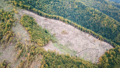 由森林管理委员会在罗马尼亚管理的森林的被记录的区域。