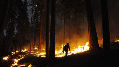 森林经理设置这个规定在加州的斯坦尼斯洛斯国家森林燃烧。