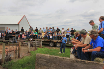 农民汤姆·弗兰岑（Tom Frantzen）在爱荷华州田间的一名实用农民中谈论了用黑麦，大麦和燕麦代替玉米基猪饲料的努力。