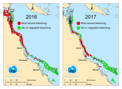 在2016年至2017年之间,将近三分之二的大堡礁经历了漂白由于温暖的海洋温度。