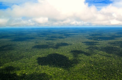 巴西Manaus附近的亚马逊雨林。过去涉及森林的碳市场被批评为绿化。