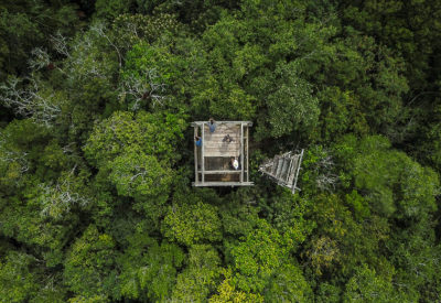 鸟瞰图土著使用的观测塔瓦夏克通在危地马拉方便看守他们的森林。