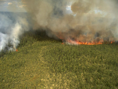 2008年7月，阿拉斯加中部发生野火。在美国，每年大约有690万英亩的土地被野火烧毁，这几乎是上世纪90年代平均面积的两倍。