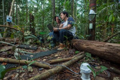 科学家Bruno Portela和Iain Hartley从土壤水分探针中提取数据，作为Amazonface项目的一部分。