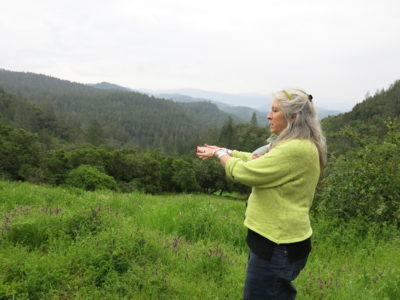 激进主义者凯莉·安德森（Kellie Anderson）希望保护纳帕的剩余森林免受侵占葡萄园的侵害。