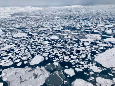 2018年波弗特海东部的海冰。