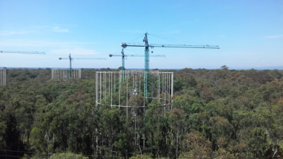 白管的环在澳大利亚悉尼附近的一个研究地点泵送到桉树上的二氧化碳水平升高到桉树上。