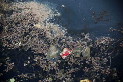 托巴湖塔诺·庞戈尔镇的水里充满了垃圾和米金箔，米金箔是一种入侵植物，在营养丰富的水体中茁壮成长，会耗尽湖泊的氧气水平。