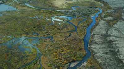 布里斯托尔海湾流域的湿地在阿拉斯加。在Scott Pruitt下，EPA已搬迁以删除清水法下的奥巴马时代湿地保护。 