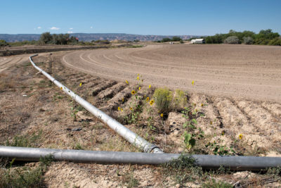 节约用水,一些农民在伟谷已经关闭他们的灌溉管道和让他们的田地去休闲,以换取货币补偿。
