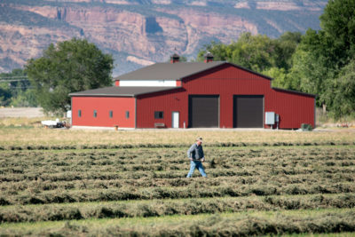 科罗拉多州大章克申的一名农民在他的苜蓿田里工作，该苜蓿田地被科罗拉多河转移的水灌溉。为了减少用水量，一些农民离开了田野休耕，以换取金钱补偿。
