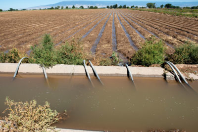 在科罗拉多州的伟谷使用漫灌。这是最便宜的,最常见的灌溉区域,但它也是最高效,使用更多的水比滴灌或洒水装置。