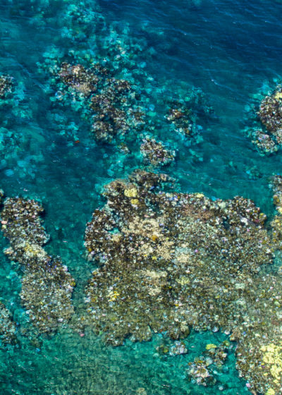 航拍照片的珊瑚白化沿着500英里的大堡礁。漂白部分出现白色或黄色相比健康的珊瑚礁周围。