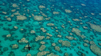 航拍照片漂白的大堡礁的中间部分,上个月。