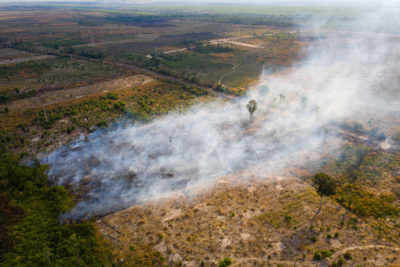 柬埔寨北部的本珀野生动物保护区，一片燃烧的田野。本佩尔只是一个名义上的避难所，因为大部分土地已经被政府出售，用于农业特许和橡胶种植园。