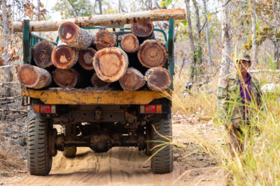 一名普罗伊·朗社区护林员站在一辆从受保护森林地区运来木材的卡车旁边。护林员无权没收非法砍伐的木材，但他们对这种活动进行监测和报告。