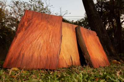 在金边博克野生动物保护区没收的红木。红木交易在中国被视为高端家具的珍贵产品，在世界范围内都是非法的，但一个由腐败的柬埔寨商人和官员组成的网络却从事着有利可图的黑市红木交易。