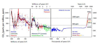 二氧化碳水平在过去的4亿年。上次的二氧化碳水平高达今天的是大约300万年前。右边是不同的预测未来的二氧化碳水平的政府间气候变化专门委员会;在最坏的情况下,二氧化碳浓度将提高到2000 ppm到2500年从现在的400 ppm。