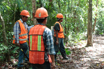 玛雅生物圈保护区的森林社区成员在防火项目期间休息。