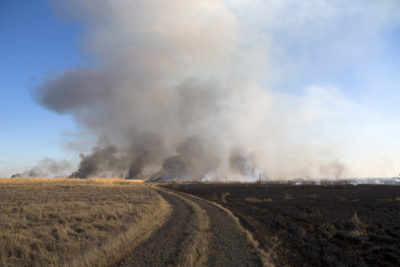 杰夫·基尔万（Jeff Kirwan）土地上的道路两侧未燃烧和烧毁的区域。