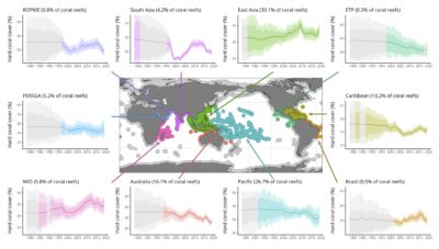这些图形详细介绍了过去40年中10个地区硬珊瑚覆盖的变化。在1998年，热浪杀死了约8％的生命珊瑚之后，受影响的地区恢复了。现在，随着温度的升高，全球礁石正在下降。
