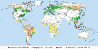 从2001年到2015年的森林覆盖损失的主要驱动力。