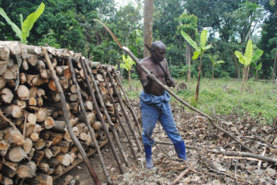 东部刚果的一棵树农夫在木炭生产期间允许更好的空气循环的方式堆积木头，帮助碳化木材更快和高效。