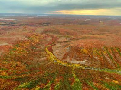 加拿大北部麦肯齐山谷的泥炭地在秋天在这里见到。