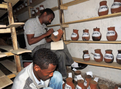 在埃塞俄比亚北部的一个社区种子银行，志愿者给种子储存罐贴上标签。