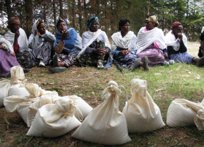 埃塞俄比亚农民聚集在一起讨论了20种不同的杜兰麦小麦品种的试验，前景中的种子袋。