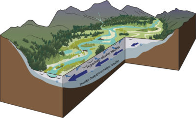 这幅三维插图展示了像黄石公园这样的砾石河床河流系统的纵向、横向和垂直动态。较大的蓝色箭头表示潜流水域，或地下水，在冲积平原的上端发展，并遵循长水流路径。靠近地表的小箭头表示浅层沉积物中表层水和上层潜流水之间的水交换。较小的u形箭头说明了浅层潜流带和深层地下水之间的小交换。