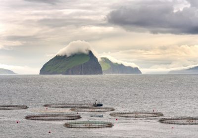 北大西洋的法罗群岛附近的一个鲑鱼农场。