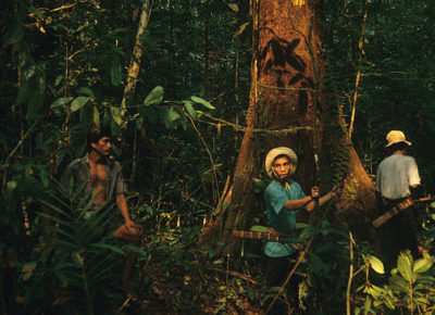 1990年代初期，肯尼亚·达克（Kenyah Dayak）土著团体在西婆罗洲进行森林调查。