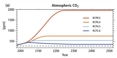 预计二氧化碳浓度下不同的排放情况,延长到2500年。