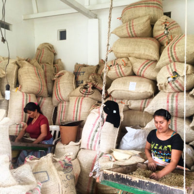 妇女在44英亩的Finca el ocaso农场中排序咖啡豆，靠近Salento，哥伦比亚。