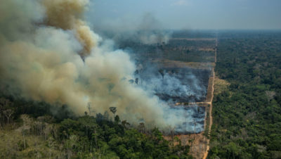 2019年8月，在巴西隆多尼亚州亚马逊的森林大火。