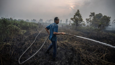 在印度尼西亚加里曼丹中部的Palangka Raya，一名志愿者正在扑灭泥炭地地区的大火。