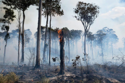2020年8月，巴西Novo Progresso省亚马逊森林大火。