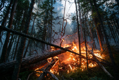 2020年7月，西伯利亚西伯利亚的Denezhkin Kamen自然保护区发生了森林大火。