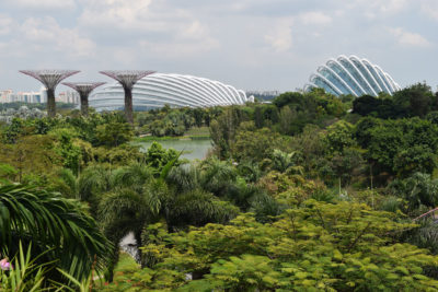 新加坡海湾公园(Bay park)旁250英亩的花园。新加坡近一半的土地是由绿地和自然保护区组成的。