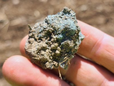 研究人员Zack Kozma（左）从一个田野中收集了一个水样，在该田地中，岩石尘被添加到康奈尔农业技术农业实验站的土壤中；一块土壤（右），其中包含岩石灰尘。