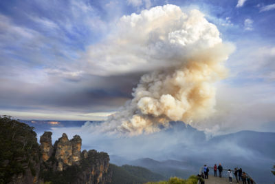 野火在澳大利亚2018年的蓝山国家公园。越来越热的大火正在加速全球植物区系的变化。