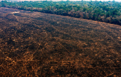 8月24日，巴西朗多尼亚州韦柳港附近的亚马逊雨林被烧毁。