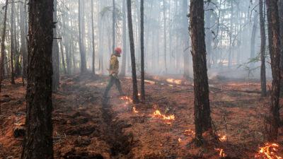 雅克图亚中部是俄罗斯最危险的地区之一，一名消防经理正在控制火势，保护该地区的火灾易发地区。