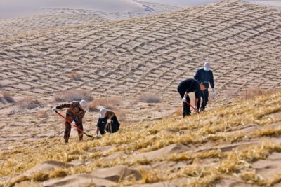 志愿者在2021年3月12日在甘西省的中国植树日的巴丹·贾兰沙漠（Badain Jaran Desert）的边缘种植树木。
