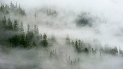 福特附近的森林雾升起，汤姆斯的狭窄峡湾。