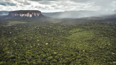 哥伦比亚Serrania de Chirigiqueete，哥伦比亚最大的保护自然地区，位于亚马逊和古娃的亚马逊部门。