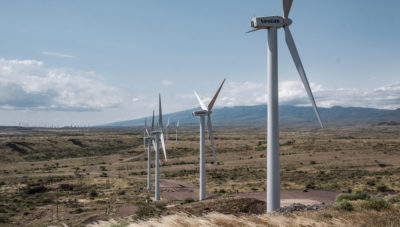 在肯尼亚北部的Turkana风电项目的风力涡轮机。一些肯尼亚风电场位于濒危鸟类群体中的区域。