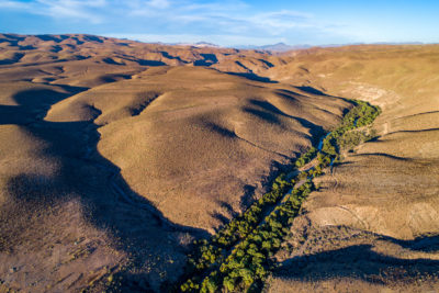 亚利桑那州萨福德以东的吉拉盒河岸国家保护区。